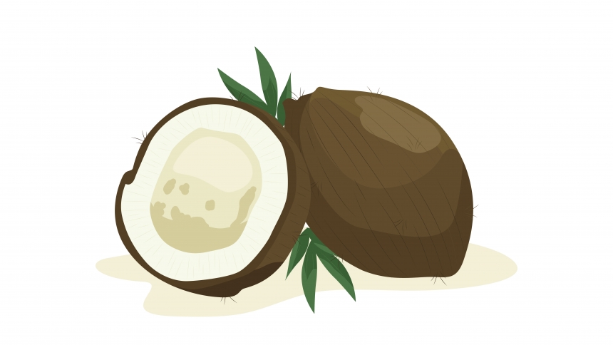 O Que Deve Saber Sobre o Óleo de Coco